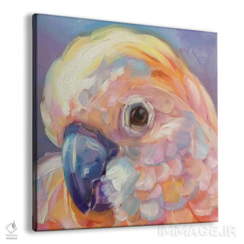 تابلو مطالعه مینی طوطی ۹ اثر هالی استورلی - نمای پرسپکتیو محصول