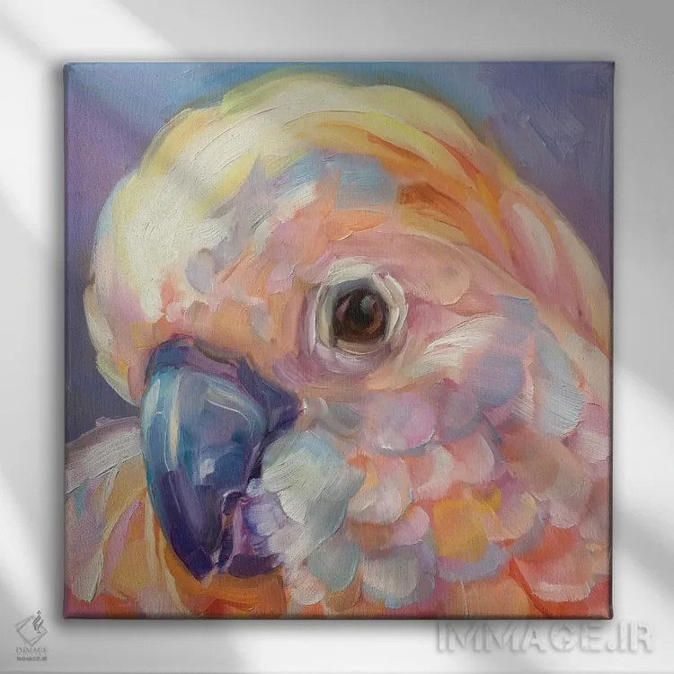 تابلو مطالعه مینی طوطی ۹ اثر هالی استورلی - نمای روبهرو روی دیوار