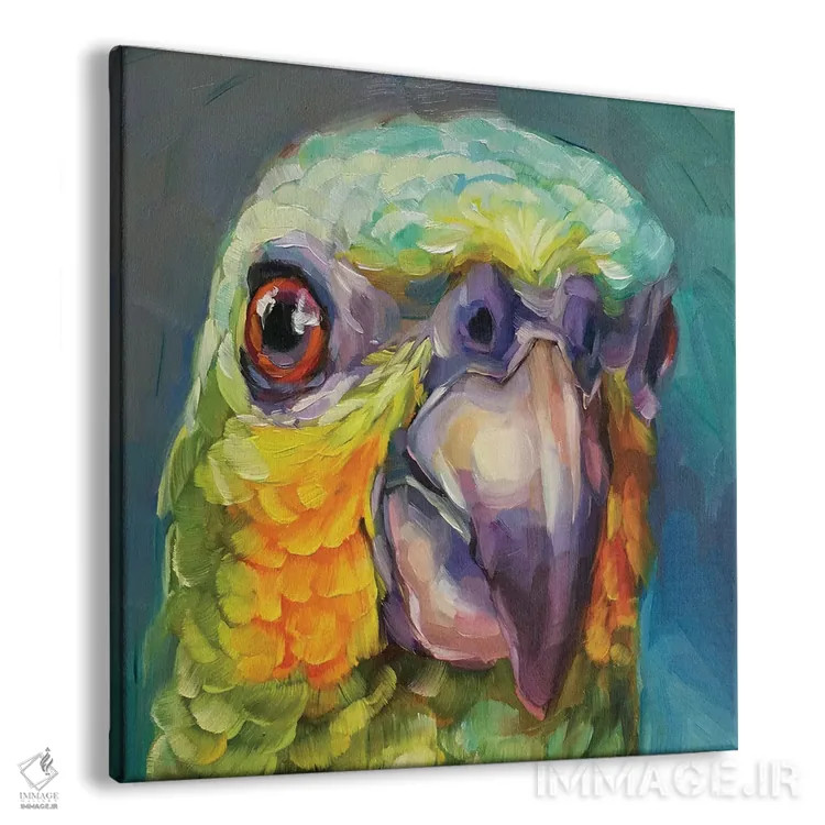 تابلو مطالعه مینی طوطی ۲ اثر هالی استورلی - نمای پرسپکتیو محصول