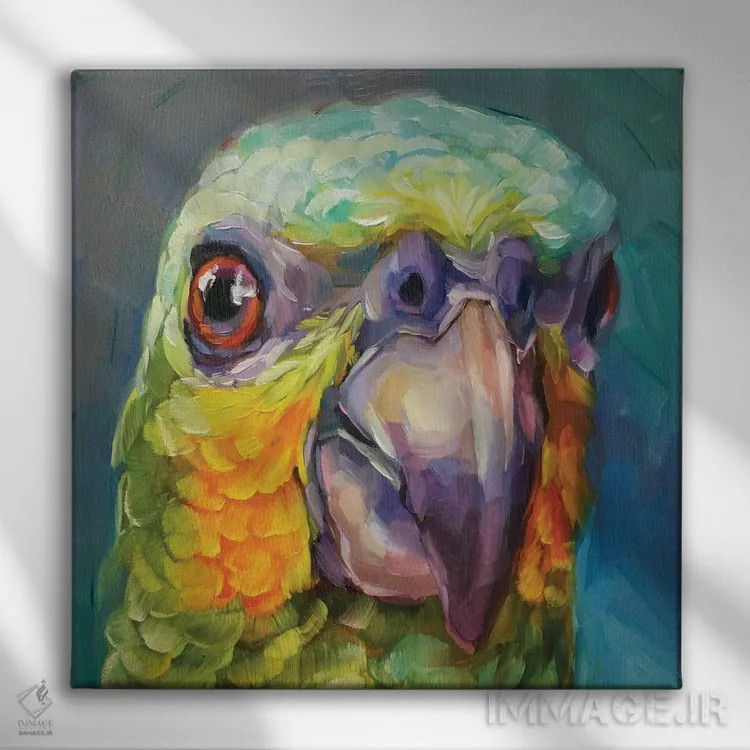 تابلو مطالعه مینی طوطی ۲ اثر هالی استورلی - نمای روبهرو روی دیوار