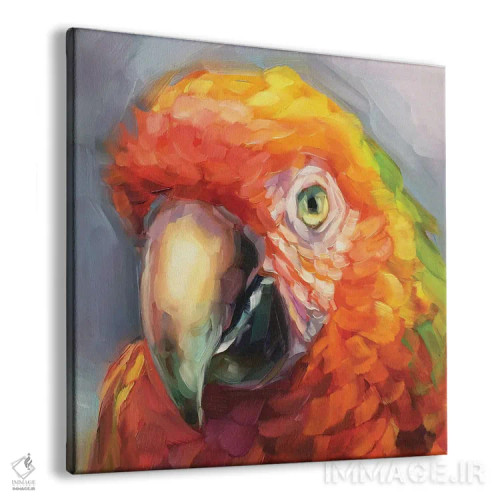 تابلو مطالعه طوطی ۲ اثر هالی استورلی - نمای پرسپکتیو محصول