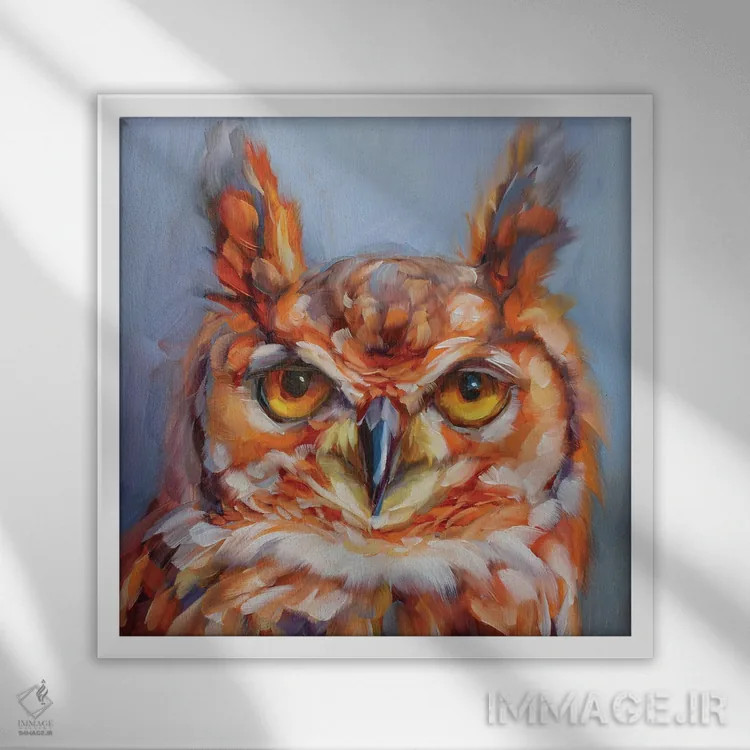 تابلو مطالعه جغد ۱۸ اثر هالی استورلی - نمای قابدار سفید