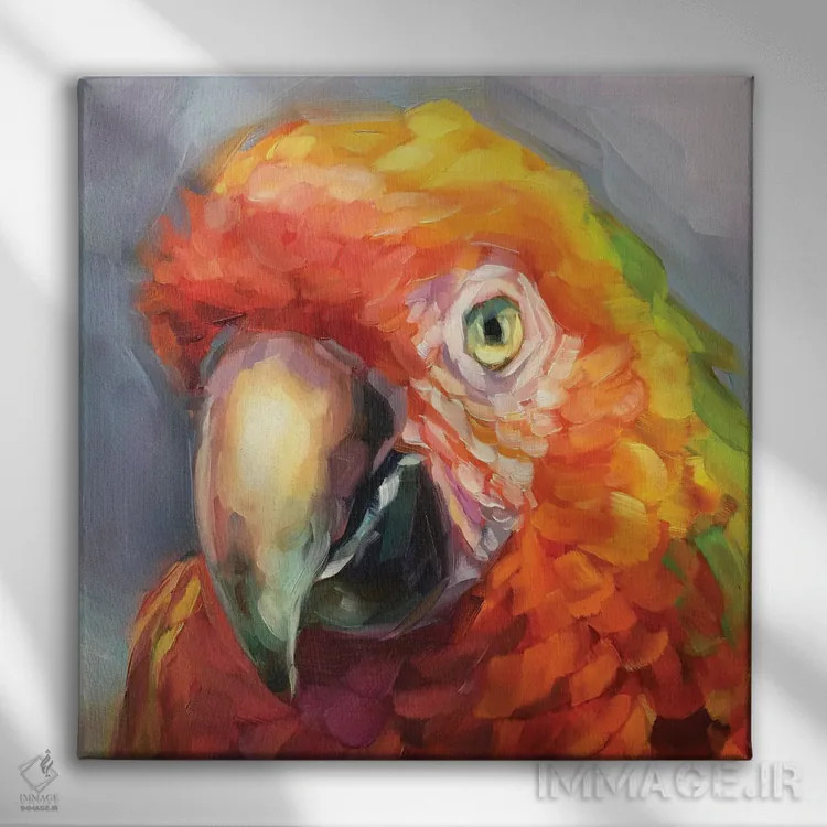 تابلو مطالعه طوطی ۲ اثر هالی استورلی - نمای روبهرو روی دیوار