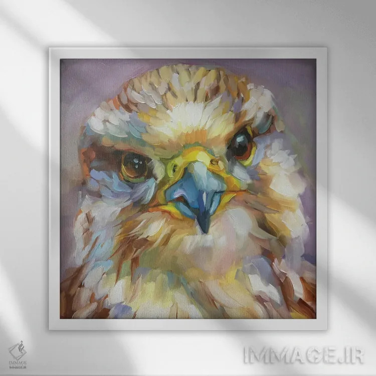 تابلو مطالعه مینی پرنده اثر هالی استورلی - نمای قابدار سفید