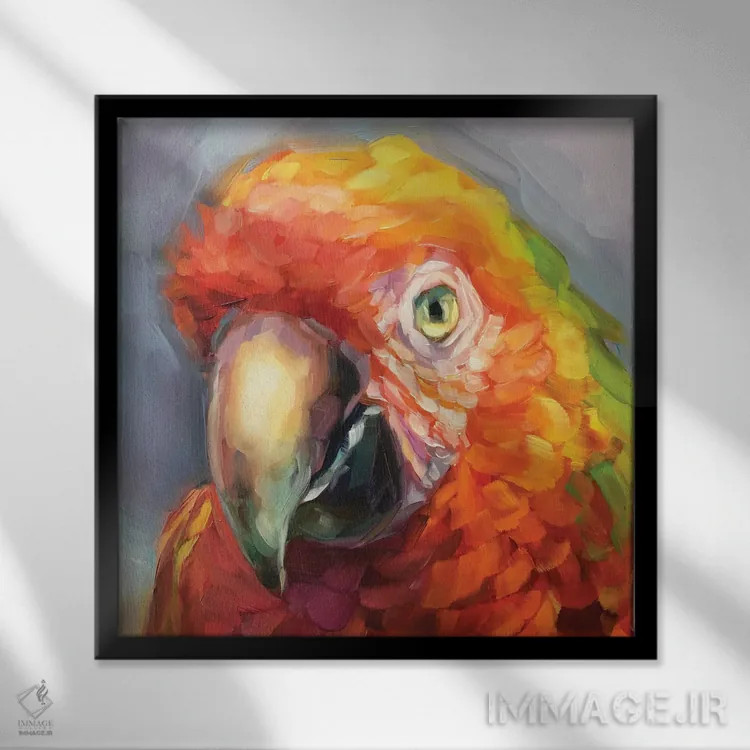 تابلو مطالعه طوطی ۲ اثر هالی استورلی - نمای قابدار مشکی