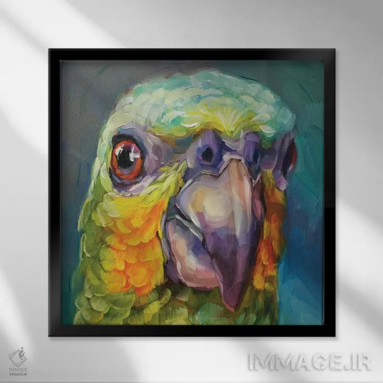 تابلو مطالعه مینی طوطی ۲ اثر هالی استورلی - نمای قابدار مشکی