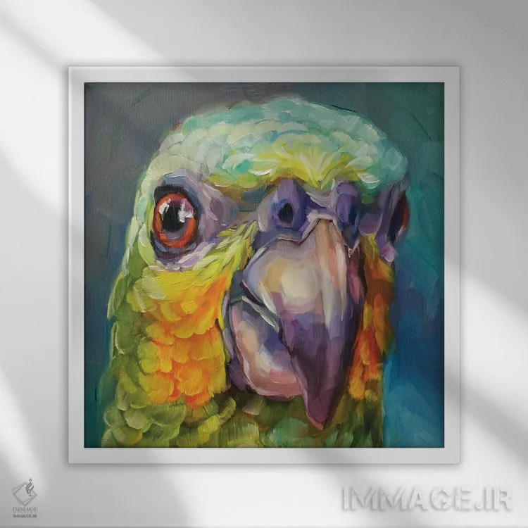 تابلو مطالعه مینی طوطی ۲ اثر هالی استورلی - نمای قابدار سفید