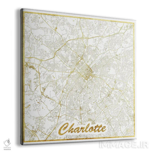 تابلو نقشه طرح شهری برگ طلایی شارلوت اثر هوبرت روگوسکی - نمای پرسپکتیو محصول