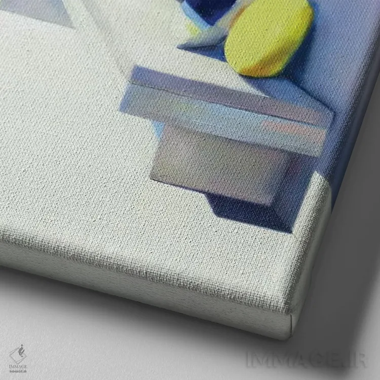 تابلو تراس سفید اثر ایوا باکلانه - نمای نزدیک بافت بوم