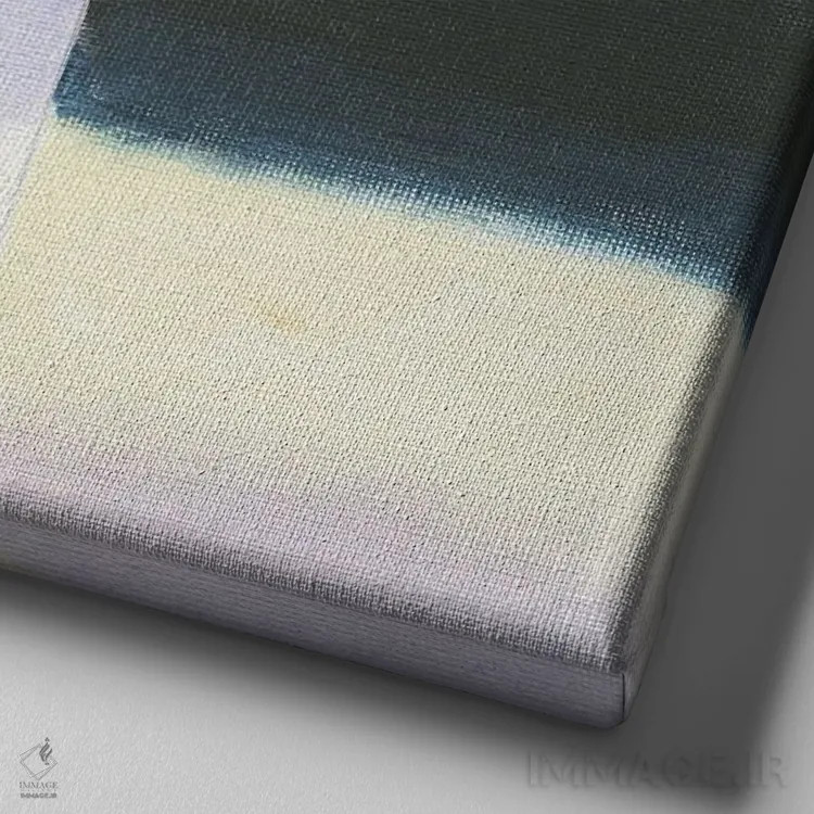 تابلو رزها با پسزمینه سیاه اثر ایان بک - نمای نزدیک بافت بوم