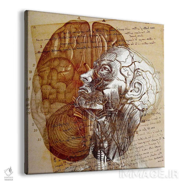 تابلو ذهن ذهن اثر فایو بای فایو کالکتیو - نمای پرسپکتیو محصول