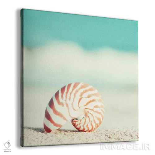 تابلو ناتیلوس (نوعی صدف یا کشتی افسانهای) اثر کارولین کوکرن - نمای پرسپکتیو محصول