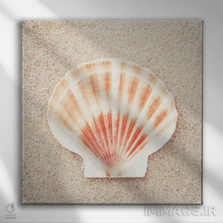 تابلو پوسته صدف اسکالوپ اثر کارولین کوکرن - نمای روبهرو روی دیوار