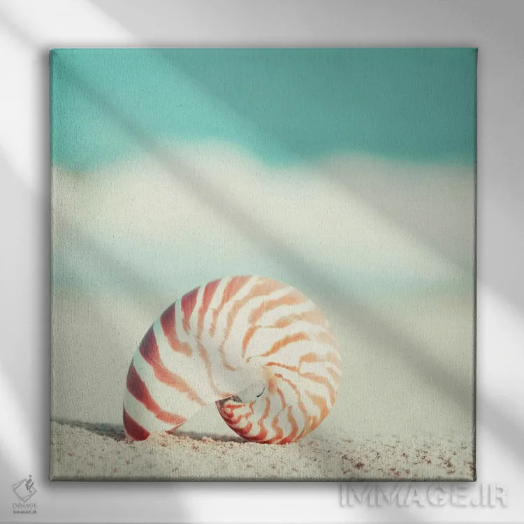 تابلو ناتیلوس (نوعی صدف یا کشتی افسانهای) اثر کارولین کوکرن - نمای روبهرو روی دیوار