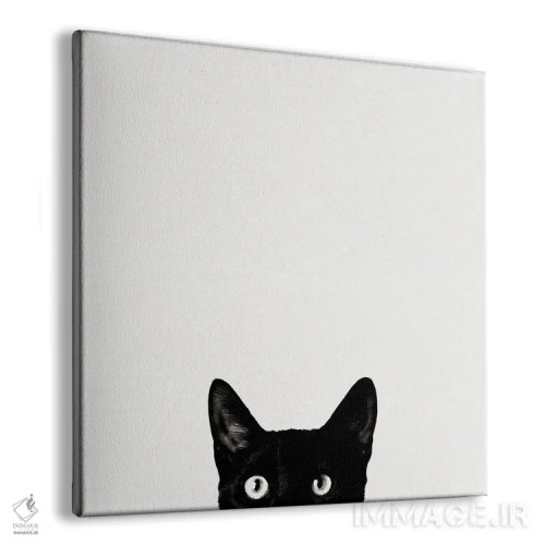 تابلو کنجکاوی اثر جان برتلی - نمای پرسپکتیو محصول