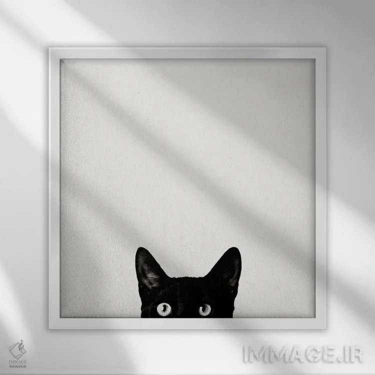 تابلو کنجکاوی اثر جان برتلی - نمای قابدار سفید