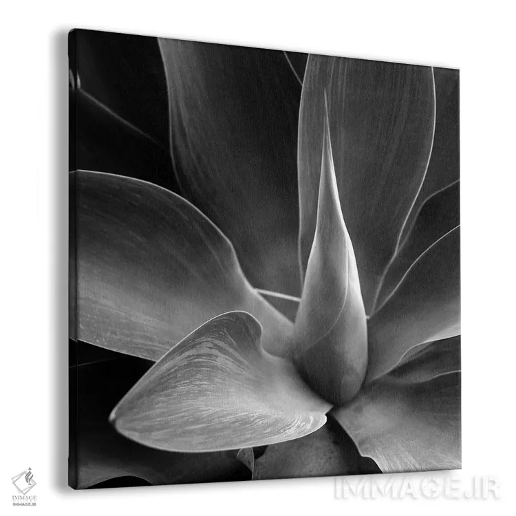 تابلو گل اثر فوتوآیانسی استودیو (استودیو عکاسی) - نمای پرسپکتیو محصول