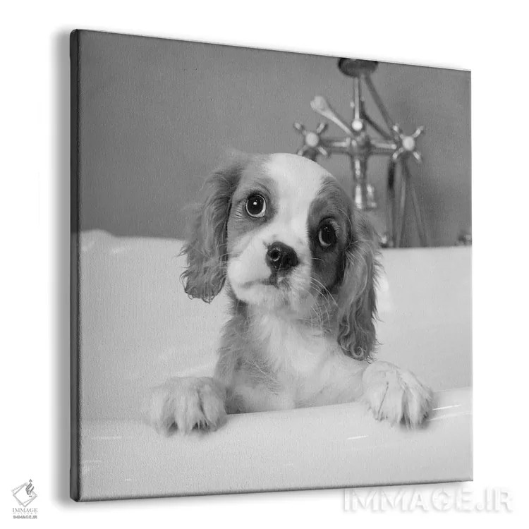 تابلو لولو (نام) اثر کیم لوین - نمای پرسپکتیو محصول