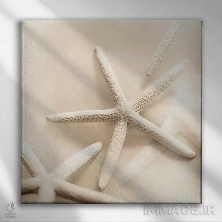 تابلو اقیانوس شماره ۲ (به ایتالیایی) اثر آلن بلاوشتاین - نمای روبهرو روی دیوار