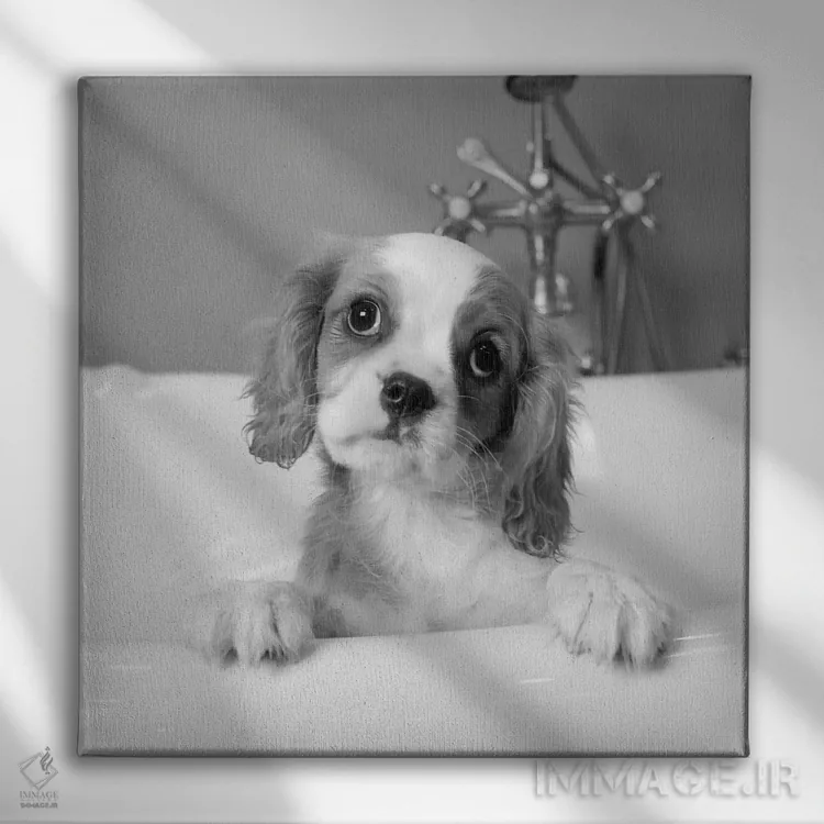 تابلو لولو (نام) اثر کیم لوین - نمای روبهرو روی دیوار