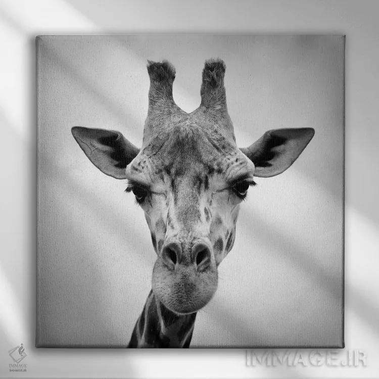 تابلو زرافه اثر فوتوآیانسی استودیو (استودیو عکاسی) - نمای روبهرو روی دیوار