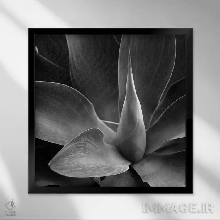 تابلو گل اثر فوتوآیانسی استودیو (استودیو عکاسی) - نمای قابدار مشکی