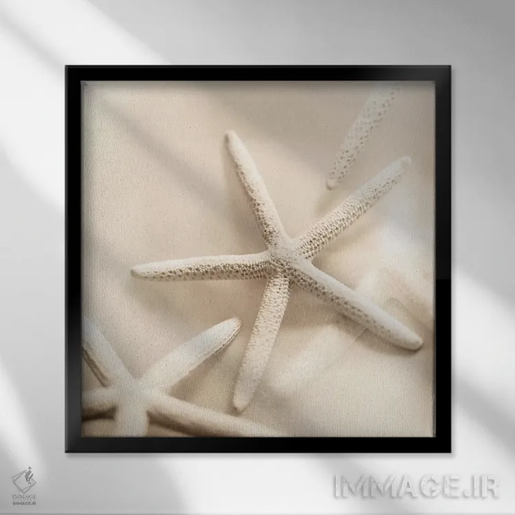 تابلو اقیانوس شماره ۲ (به ایتالیایی) اثر آلن بلاوشتاین - نمای قابدار مشکی