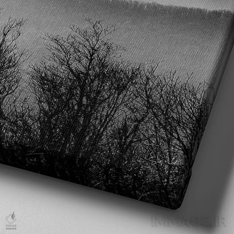 تابلو کوههای مهآلود اثر فوتوآیانسی استودیو (استودیو عکاسی) - نمای نزدیک بافت بوم