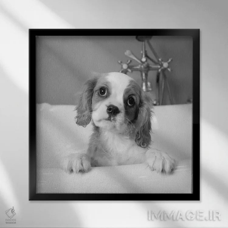 تابلو لولو (نام) اثر کیم لوین - نمای قابدار مشکی