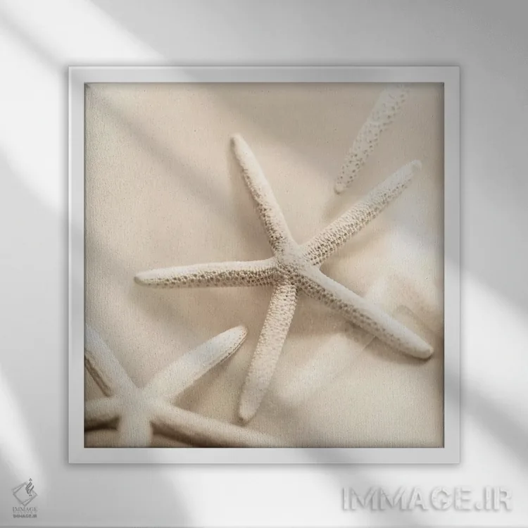 تابلو اقیانوس شماره ۲ (به ایتالیایی) اثر آلن بلاوشتاین - نمای قابدار سفید