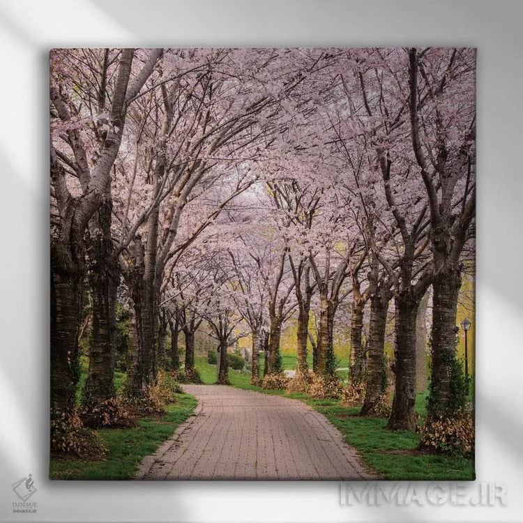 تابلو مسیر شکوفههای گیلاس اثر چاک بردیک - نمای روبهرو روی دیوار