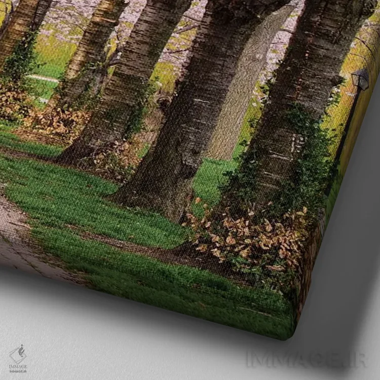 تابلو مسیر شکوفههای گیلاس اثر چاک بردیک - نمای نزدیک بافت بوم