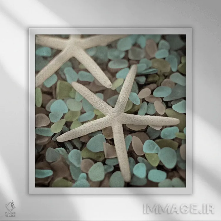 تابلو آبزی ۱ اثر آلن بلاوشتاین - نمای قابدار سفید