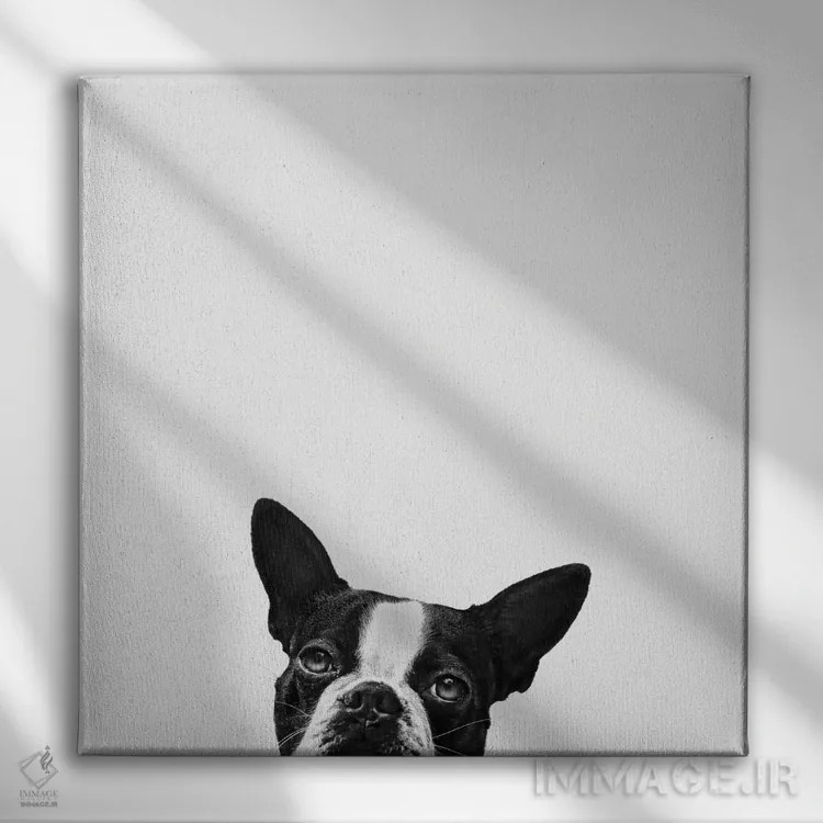 تابلو وفاداری اثر جان برتلی - نمای روبهرو روی دیوار