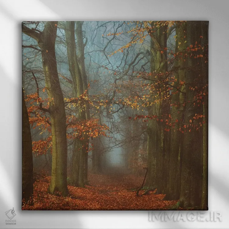 تابلو مسیر عرفا اثر لارس فان ده خور - نمای روبهرو روی دیوار