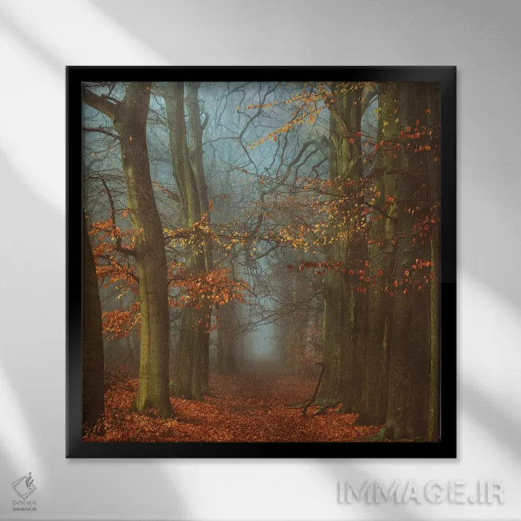 تابلو مسیر عرفا اثر لارس فان ده خور - نمای قابدار مشکی