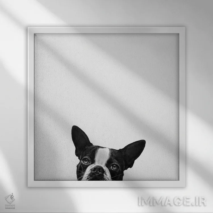 تابلو وفاداری اثر جان برتلی - نمای قابدار سفید