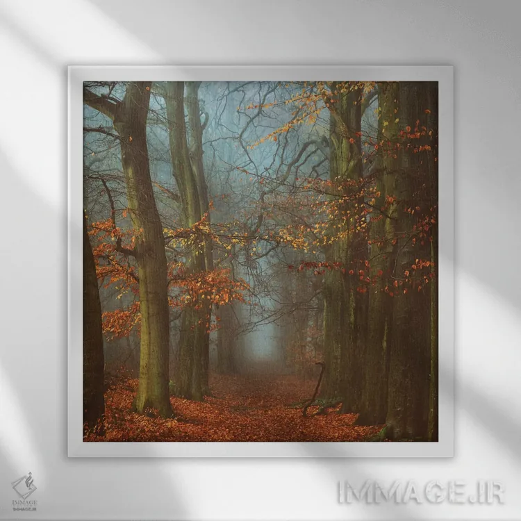 تابلو مسیر عرفا اثر لارس فان ده خور - نمای قابدار سفید