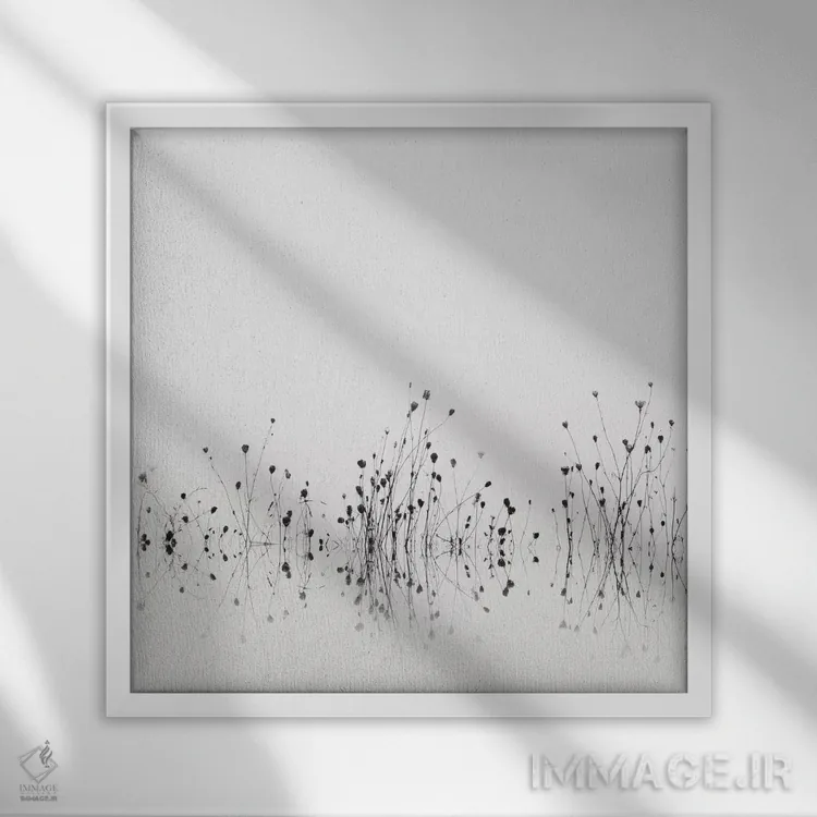 تابلو بازتابها اثر عکاسی نیکلاس بل - نمای قابدار سفید