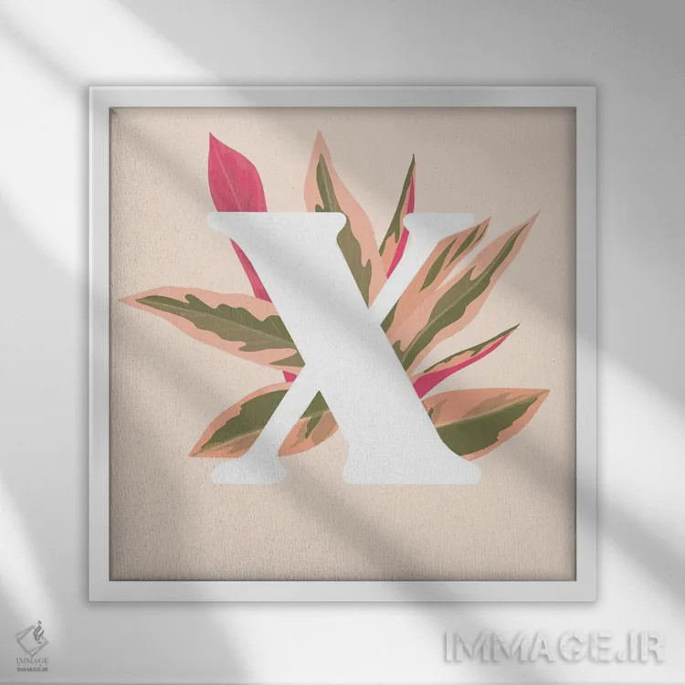 تابلو ایکس اثر ایتسفانیهو (هنرمند دیجیتال) - نمای قابدار سفید