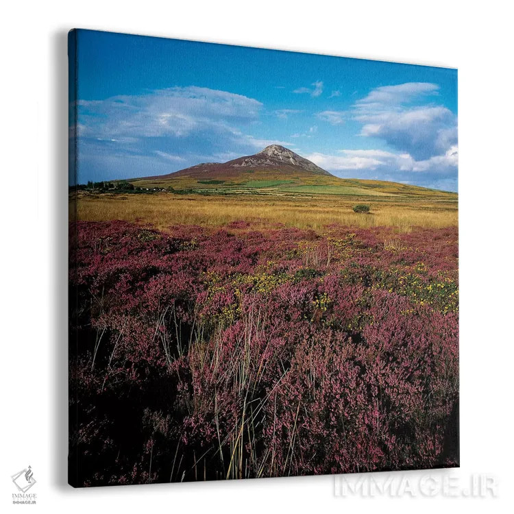 تابلو کوه شوگرلف، شهرستان ویکلو، ایرلند اثر ایریش ایمیج کالکشن (مجموعه عکاسی ایرلندی) - نمای پرسپکتیو محصول