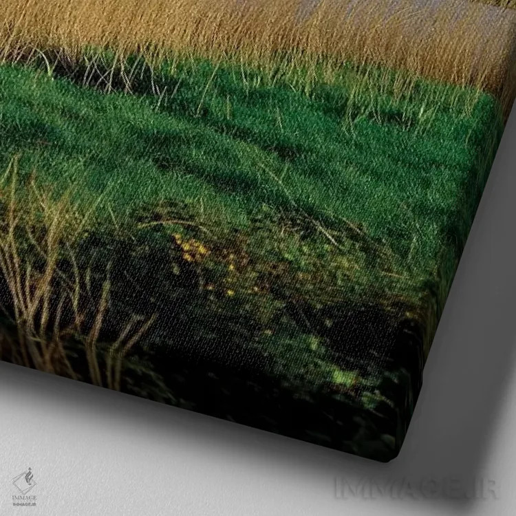 تابلو گاوهای فریزین نزدیک کوب، شهرستان کورک، ایرلند اثر ایریش ایمیج کالکشن (مجموعه عکاسی ایرلندی) - نمای نزدیک بافت بوم