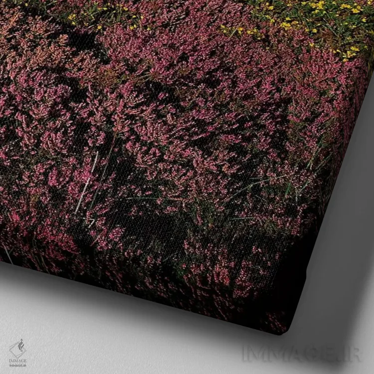 تابلو کوه شوگرلف، شهرستان ویکلو، ایرلند اثر ایریش ایمیج کالکشن (مجموعه عکاسی ایرلندی) - نمای نزدیک بافت بوم