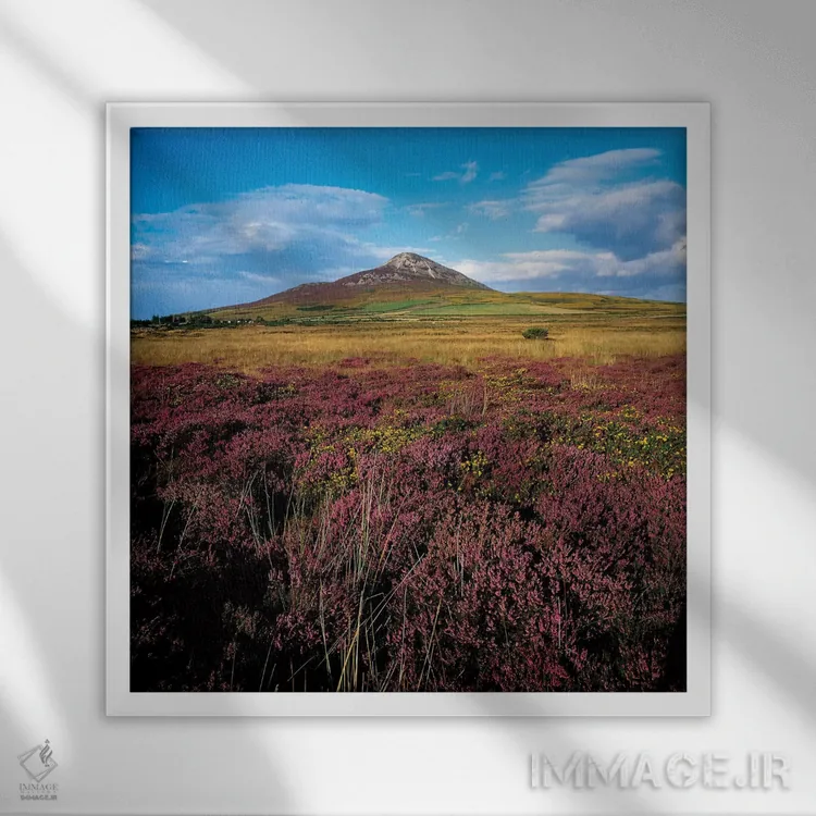 تابلو کوه شوگرلف، شهرستان ویکلو، ایرلند اثر ایریش ایمیج کالکشن (مجموعه عکاسی ایرلندی) - نمای قابدار سفید