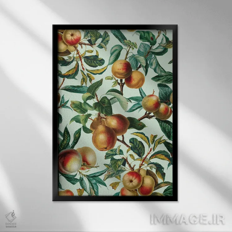 تابلو طرح میوههای قدیمی XXVI اثر برجو کورکمازیورک - نمای قابدار مشکی