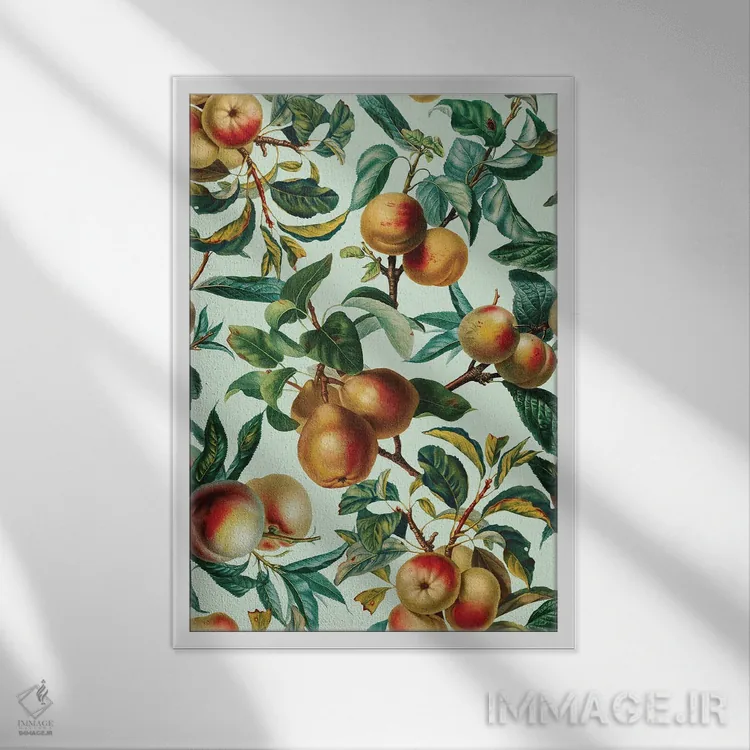تابلو طرح میوههای قدیمی XXVI اثر برجو کورکمازیورک - نمای قابدار سفید