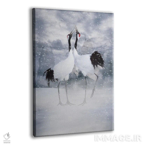 تابلو کارت عشق V (عنوان هلندی) اثر بابت ون دن برگ - نمای پرسپکتیو محصول