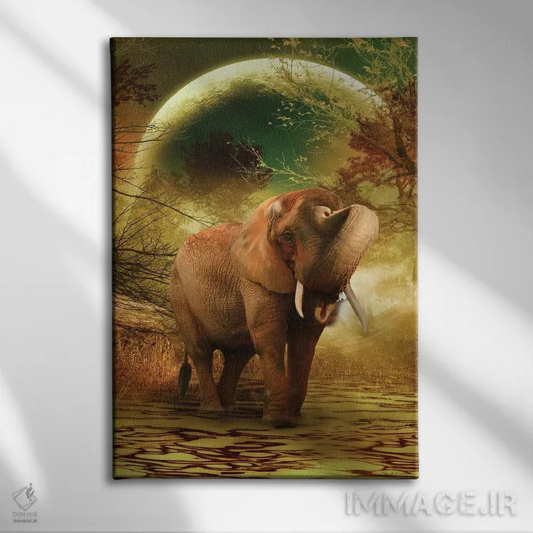 تابلو فیل ریکاردو II اثر بابت ون دن برگ - نمای روبهرو روی دیوار