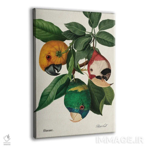 تابلو برداشت طوطی اثر بتو وال - نمای پرسپکتیو محصول