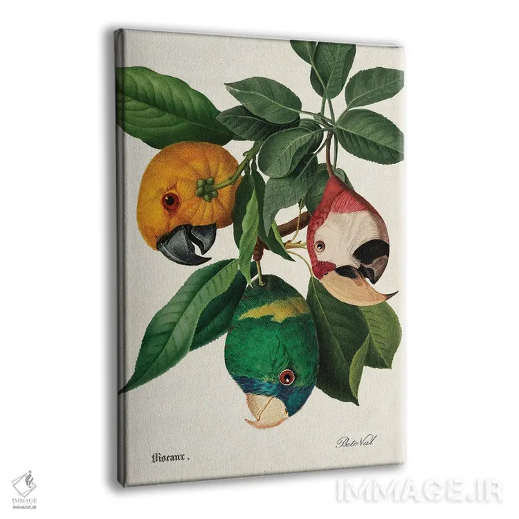 تابلو برداشت طوطی اثر بتو وال - نمای پرسپکتیو محصول